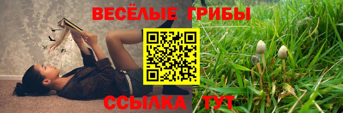 Галлюциногенные грибы ЛСД  Вход с VPN  цены   Шарыпово 